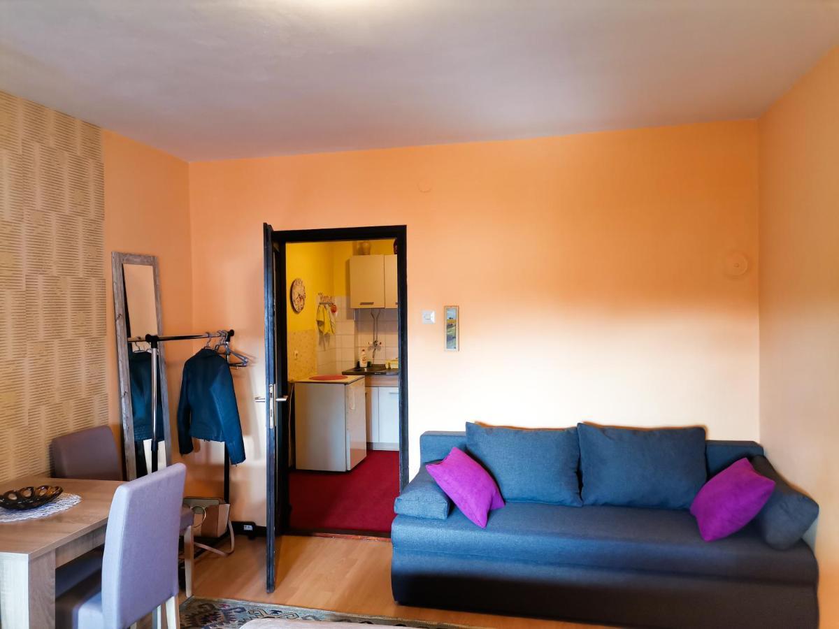 Apartment Andjela ซลาตีบอร์ ภายนอก รูปภาพ