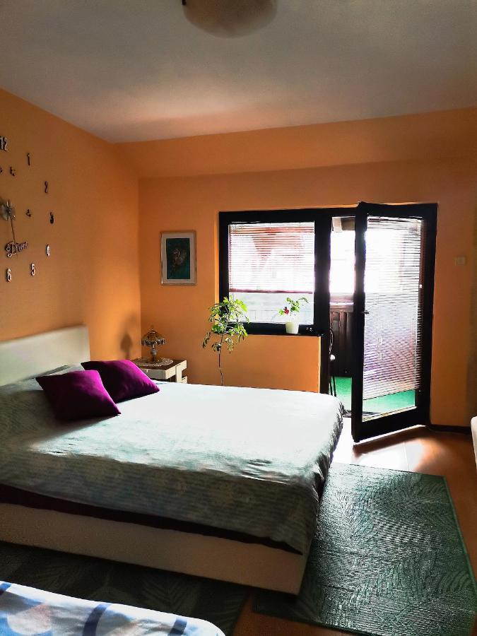 Apartment Andjela ซลาตีบอร์ ภายนอก รูปภาพ