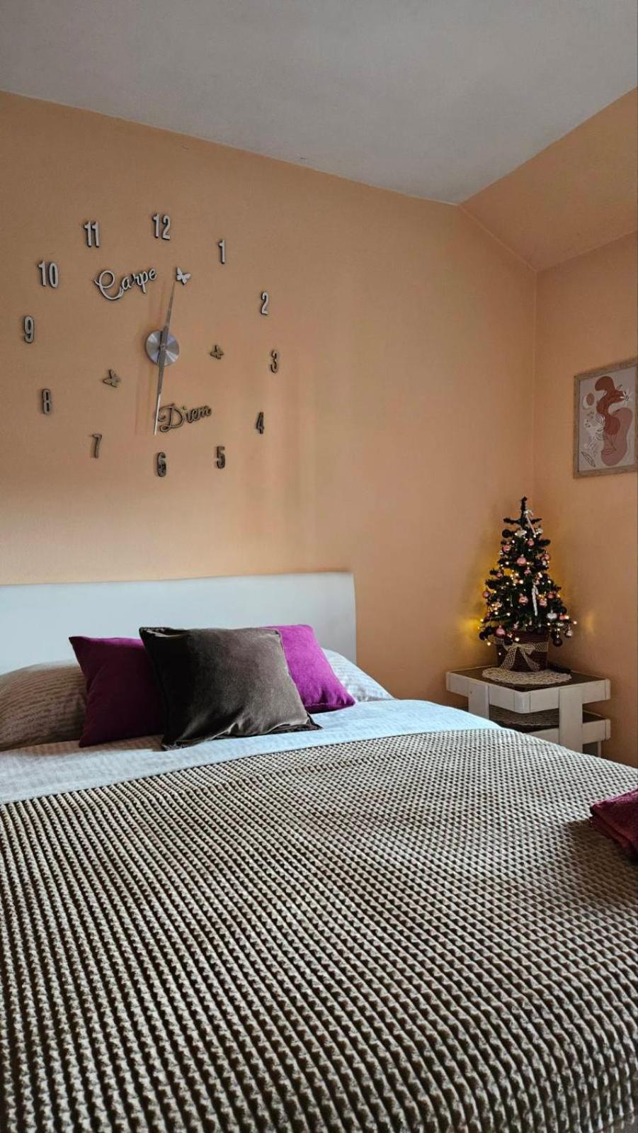 Apartment Andjela ซลาตีบอร์ ภายนอก รูปภาพ